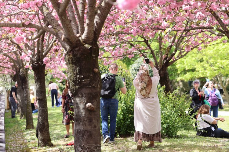 İstanbul’da ‘Japon Bahçesi’ne yoğun ilgi