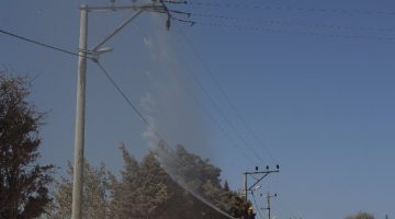 Bandırma’da elektrik hatlarında itfaiye destekli temizlik