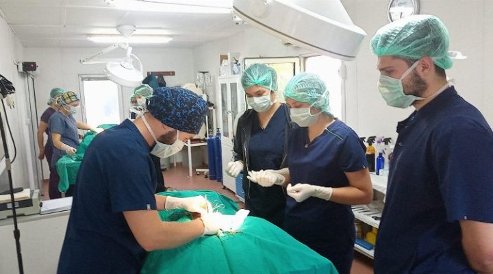 Geleceğin veteriner hekimlerine Osmangazi’de eğitim