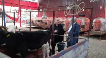 Kocaağa: Sığır yetiştiricilerimizin yanındayız